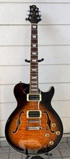 Chitarra elettrica acustica
