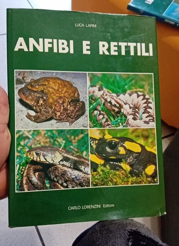 Anfibi rettili - anfibi,