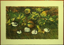 Giancarlo cazzaniga litografia - cazzaniga,
