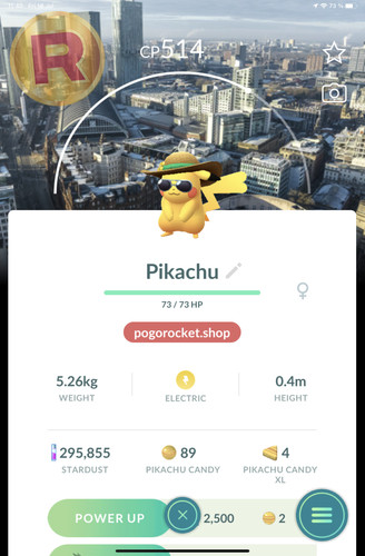 Pikachu summer costume - pikachu,