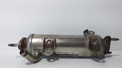 96817829 refrigeratore egr