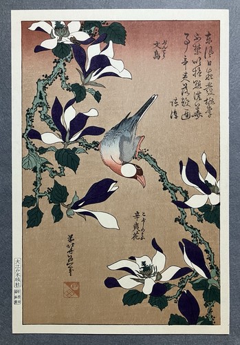 Stampa xilografia katsushika - stampa,
