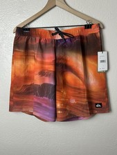 Quicksilver Surfsilk Mix Swim