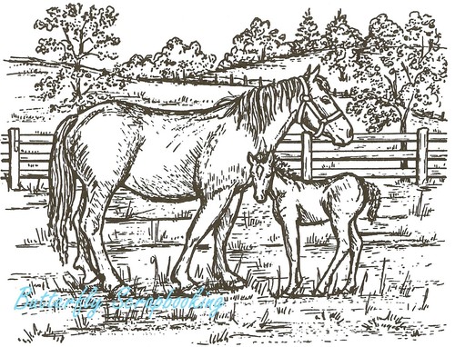 Cavallo mare puledro con - cavallo, e
