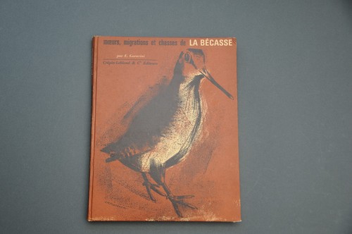Chasse bécasse garavini - bécasse,
