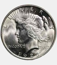 Moneta da 1 dollaro d'argento