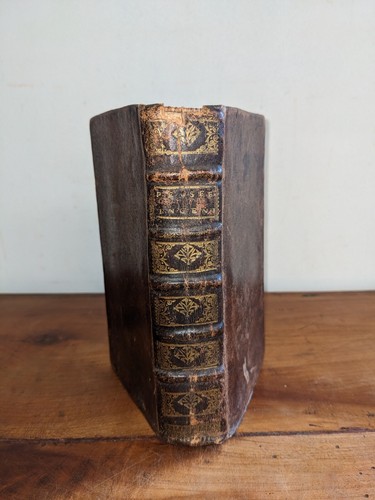 Libro antico pensieri - libro,