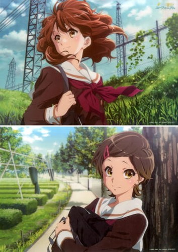 Hibike poster trasparente - poster,