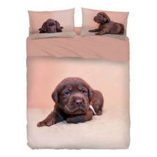 Completo lenzuola Chocolate di