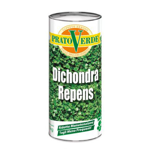 Seme per prato dichondra - seme,