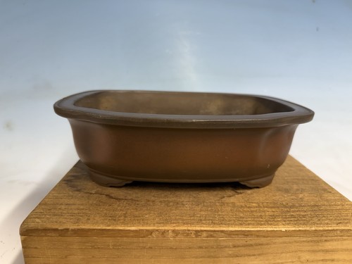 Vaso per bonsai tokoname - bonsai,