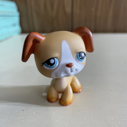 Littlest pet - littlest,