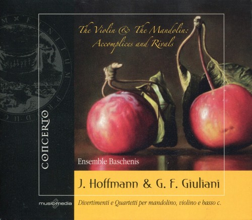 Hoffmann giuliani violin - &,