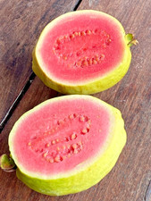 Guava Diamante Rosso (Guajava di Psidio) 5.000+ Semi