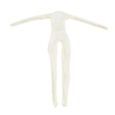 1/2 Scala Figura Maschile