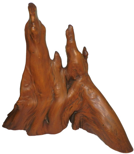 Scultura legno ginocchio - in,