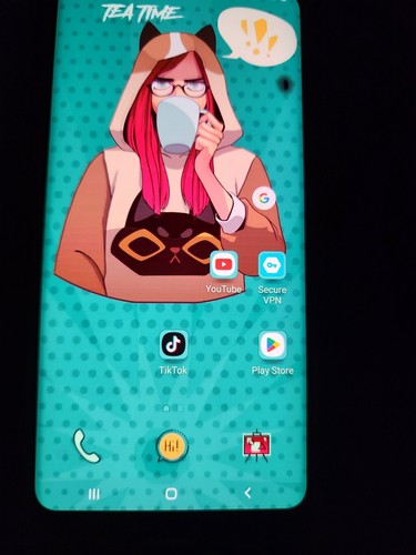 Samsung galaxy with - s8+, tiktok