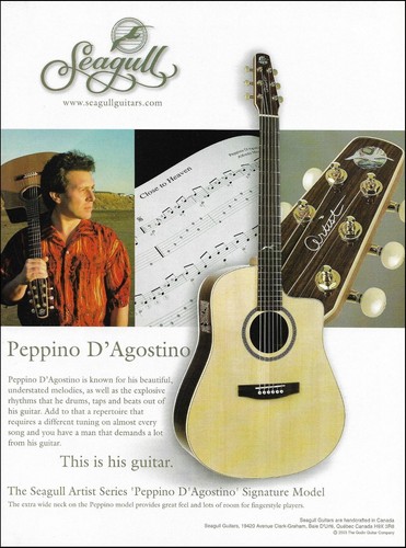 Pubblicità chitarra acustica