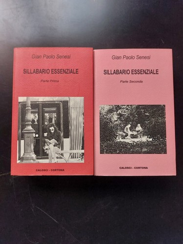 Sillabario essenziale - sillabario,