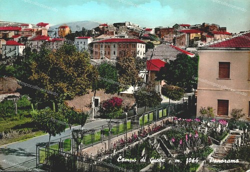 Di428 cartolina campo - campo, di