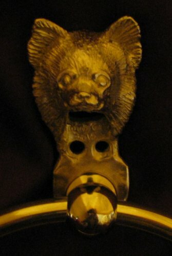 Chihuahua capelli lunghi - chihuahua,,