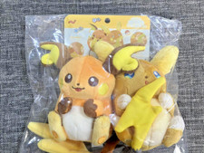 Pokemon Center coppia