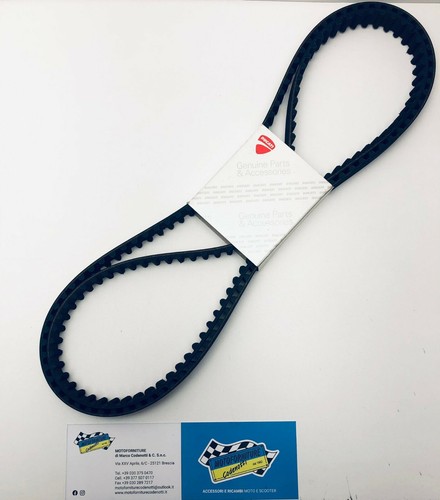 Coppia cinghie distribuzione - cinghie,