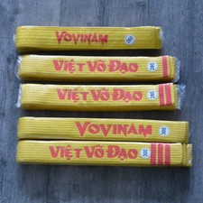 Ceinture Jaune "Deluxe" de Vovinam Vet vo dao Brodée
