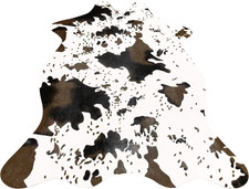 Tappeto Con Stampa in Stile