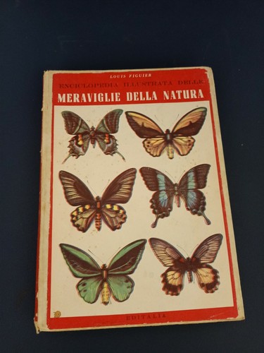 Libro enciclopedia illustrata - libro,