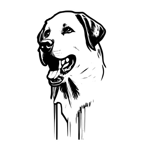 Adesivo auto xxl labrador - xxl,