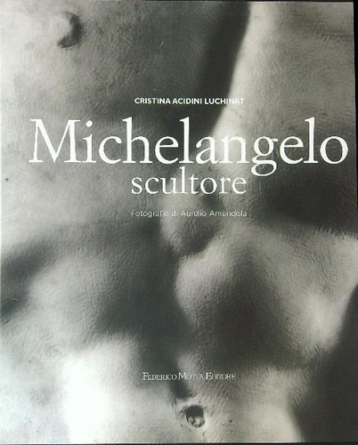 Michelangelo scultore acidini - michelangelo,