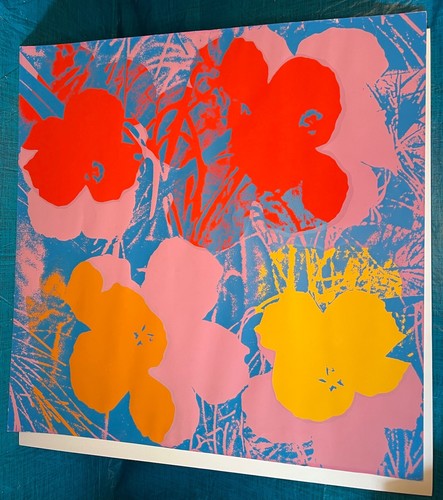 Stampa fiori andy - stampa,