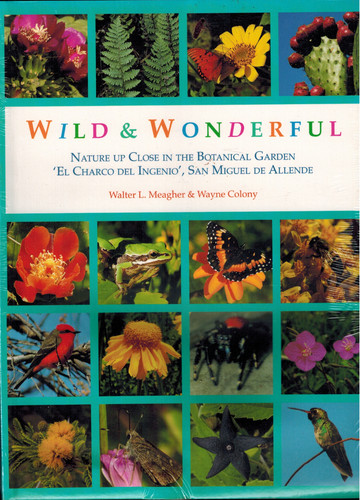 Wild wonderful nature - wild, up