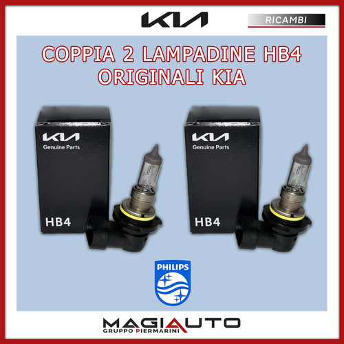 Coppia lampadine hb4 - 2,