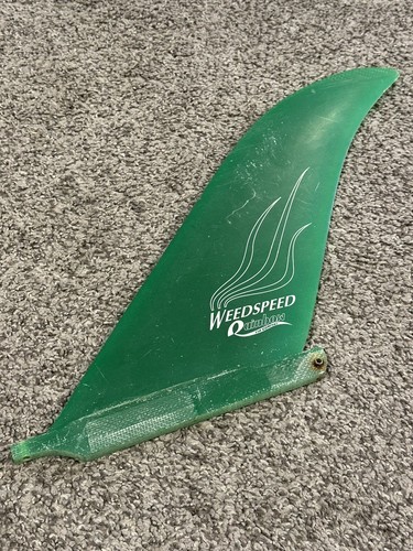 Pinna windsurf arcobaleno - pinna,