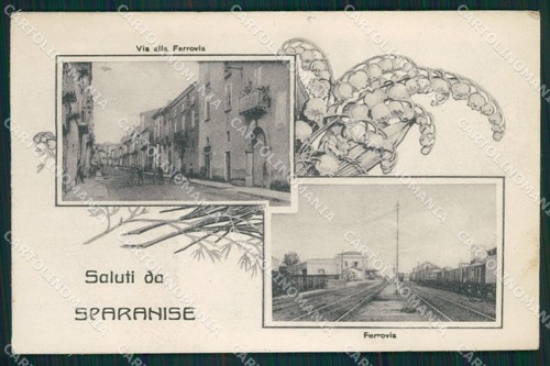 Caserta sparanise saluti - caserta,