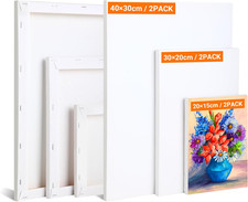 Set Da 6 Tele per Dipingere -