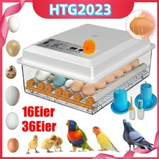 Incubatrice 220v completamente - 220v,