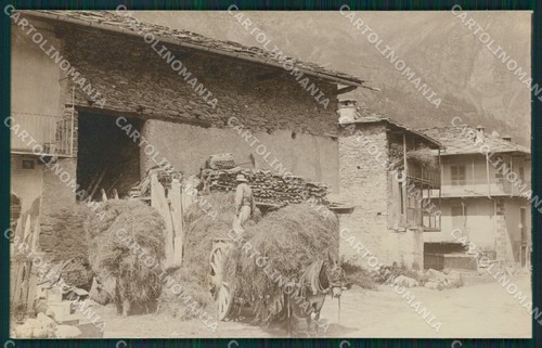 Aosta gressoney mulo - aosta, foto