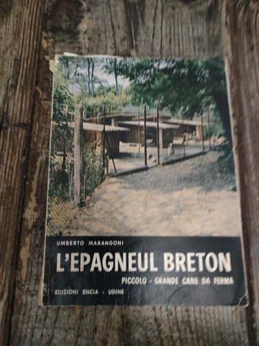 Umberto marangoni epagneul - umberto, l'epagneul