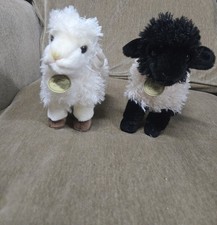 Peluche Aurora Miyoni Suffolk