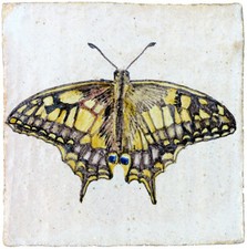 La farfalla Papilio Machaon (Linnaeus, 1758) Piastrella di maiolica 11767