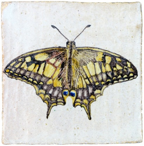 Farfalla papilio machaon - la,