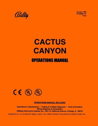 Cactus canyon flipper - canyon,