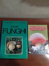 Lotto 2 libri Funghi. I Nostri