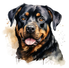 Adesivo auto cane gigante XXXL