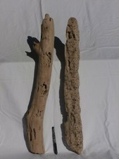 XL Legno di mare grande largo