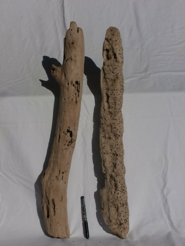 Legno mare grande largo - legno,