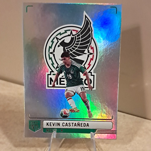 Inserto panini 2026 - inserto,